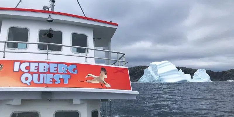 Tourism Operator Seeing Increased Iceberg and Tourist Activity This Season