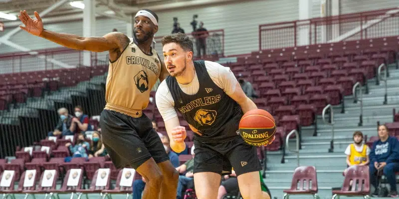 Growlers Basketball Kicking Off Inaugural Season Friday Night