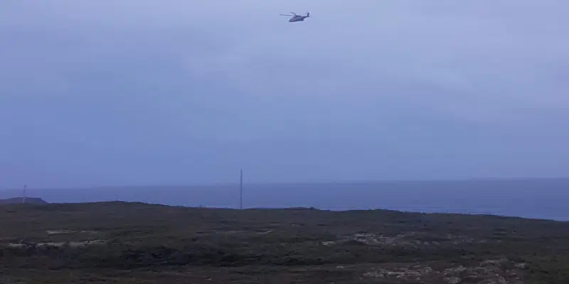 RCMP Confirm Missing Man's Body Found Near Witless Bay