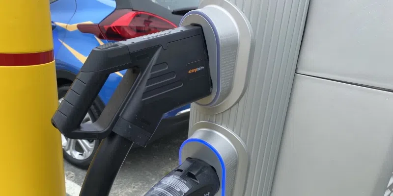 Around 600 Electric Vehicles Purchased by NLers Over Past Year