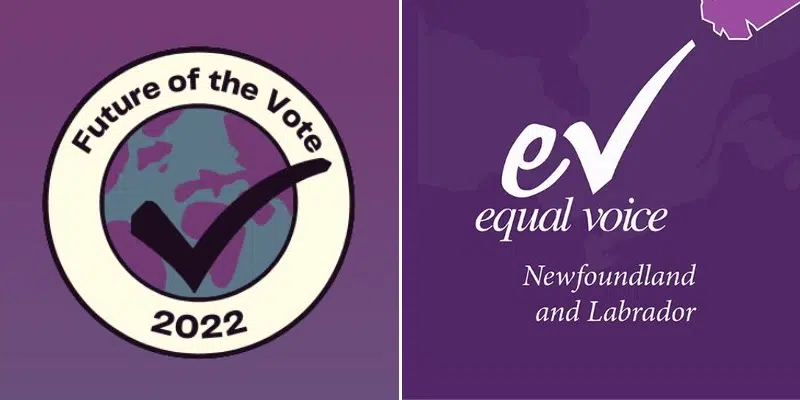 Equal Voice NL Enouraging More Women, Gender-Diverse People Involved in Politics