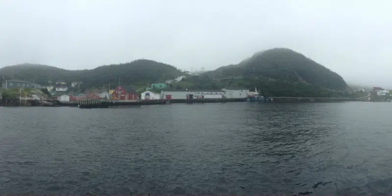 Province Conducting Cost Analysis for Potential Relocation of Gaultois