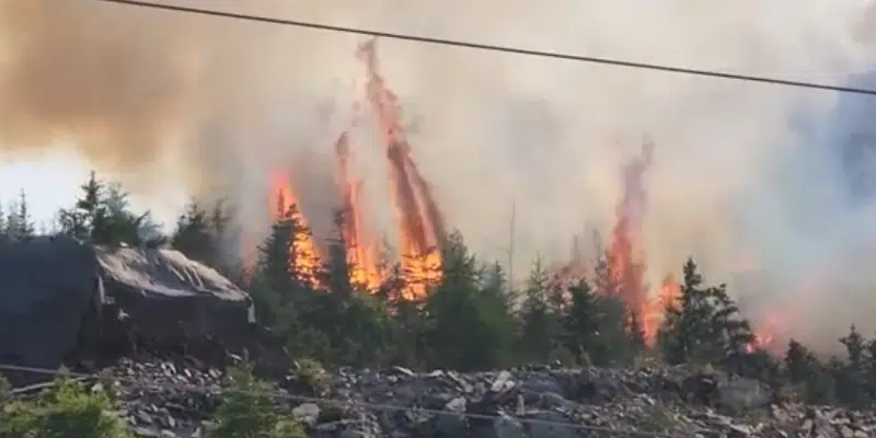Veterans Memorial Highway Reopens After Brush Fire in Carbonear