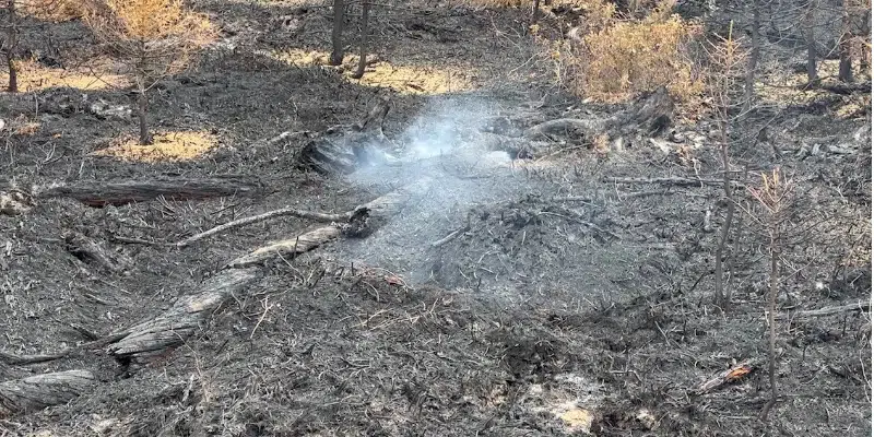 Firefighters Shift Focus to Digging Up Hot Spots in Central Newfoundland, says Fire Duty Officer