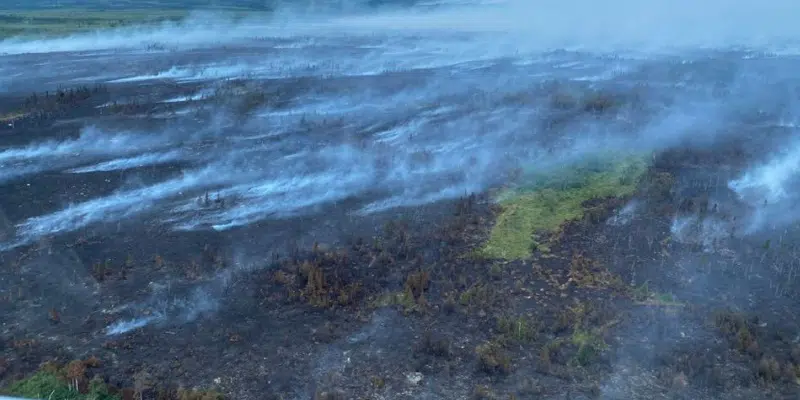 Paradise Lake Fire Grows in Size as More Rain Needed to Help Battle Blaze