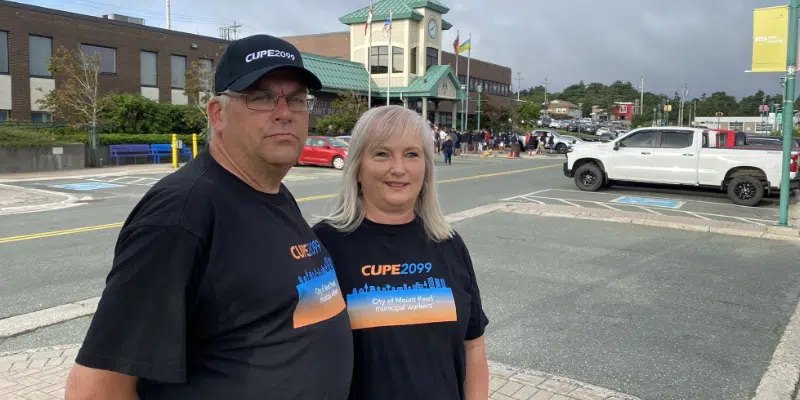 Firing of Ken Turner "Pure Retaliation" by Mount Pearl: CUPE President