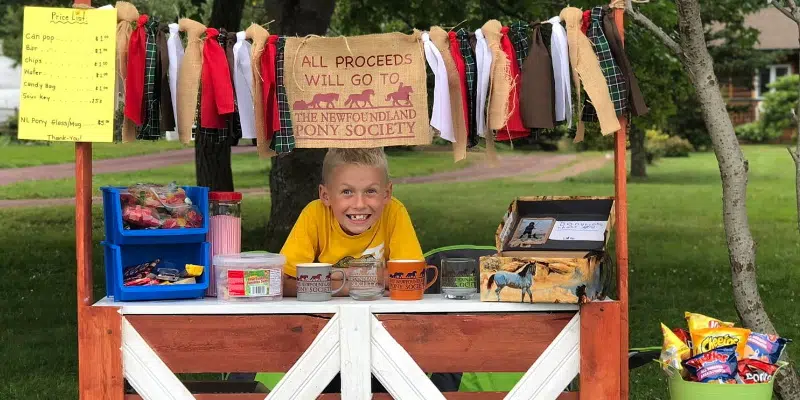 NL Pony Society Fundraiser in Hopeall Today