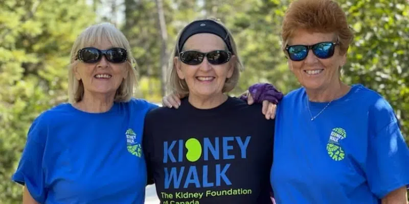 Kidney Walk Taking Place in Gander This Weekend