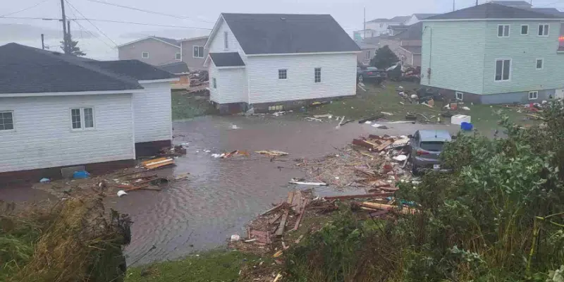 "We've Got a Total War Zone Out There" - Port Aux Basques Mayor