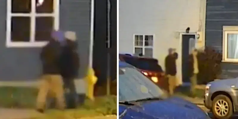 Suspect Images Released; Police Seeking CCTV Footage, Witnesses to "Heinous" Attacks in St. John's