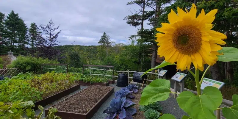 Canadian Association of Retired Persons Holds "Seniors on the Go" Event