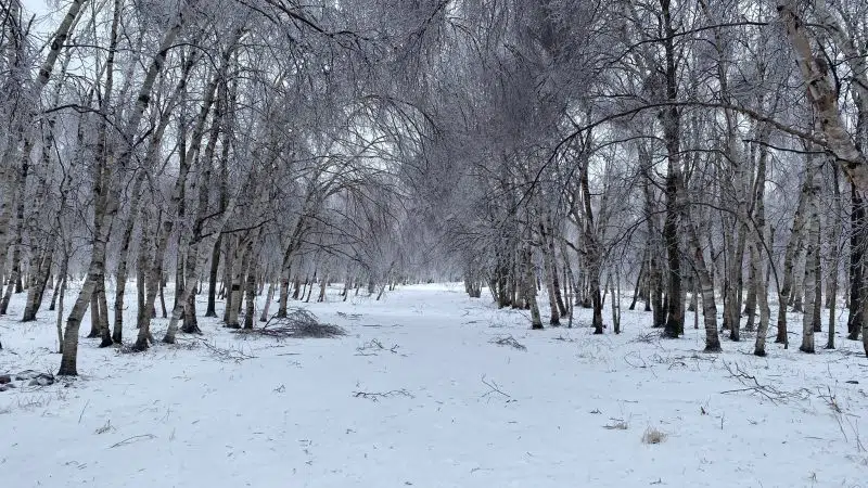 Relief in Rain, Freezing Rain and Snow Coming