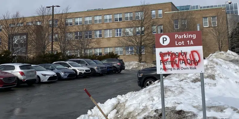 Efforts Underway to Clean Up Vandalism at MUN St. John's Campus