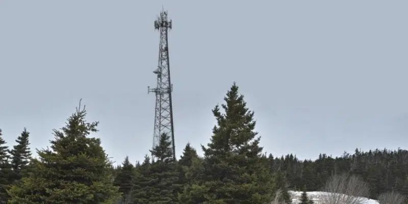 St. John's Approves New Rogers Tower Despite Concerns from Residents