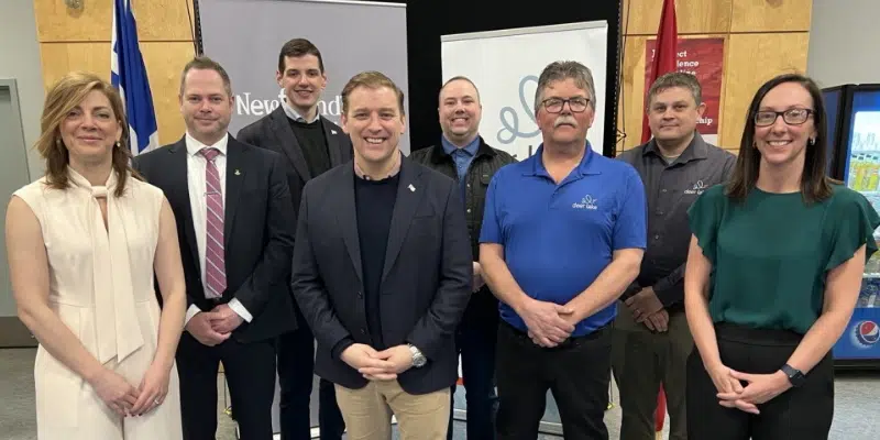 Number of Potential Locations for New Deer Lake Health Centre, Says Mayor