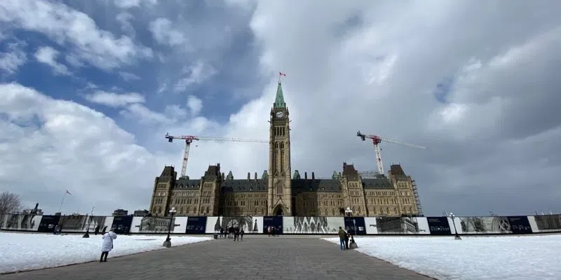 Ottawa Outlines Menstrual Product Access Requirements