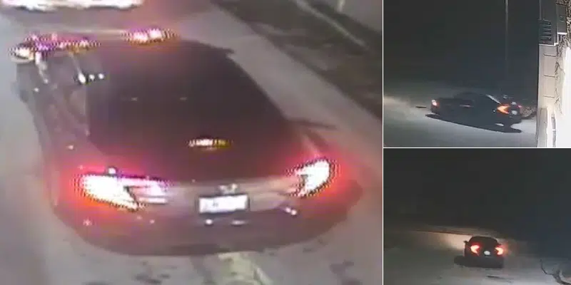 Harbour Grace RCMP Looking for Vehicle Involved in Hit and Run