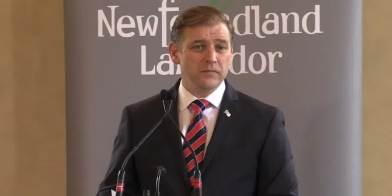 Former Premier Furey Appointed to New Found Gold Board of Directors