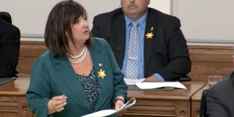 Opposition Questions Women and Gender Equality Minister on Funding to Address Gender-Based Violence