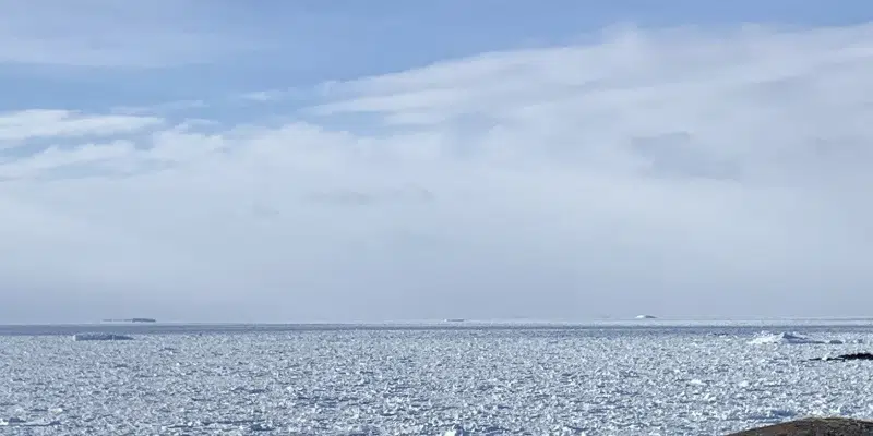 RCMP Warning People to Stay Off Pack Ice Following Concerning Reports