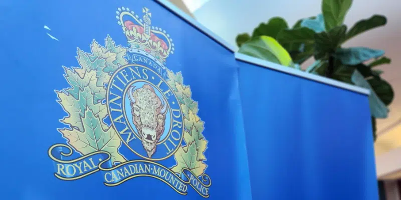 Prohibited Driver Nabbed By Bonavista RCMP