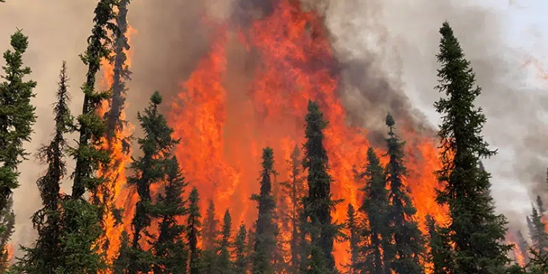 Crews From Across Canada, United States Help Battle Alberta Wildfires
