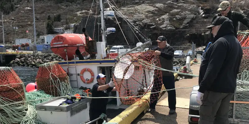 Some Harvesters Frustrated With Agreement to Resume Crab Fishery