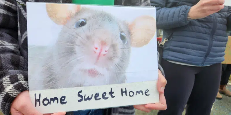 Students, Parents Rally at Frank Roberts Intermediate