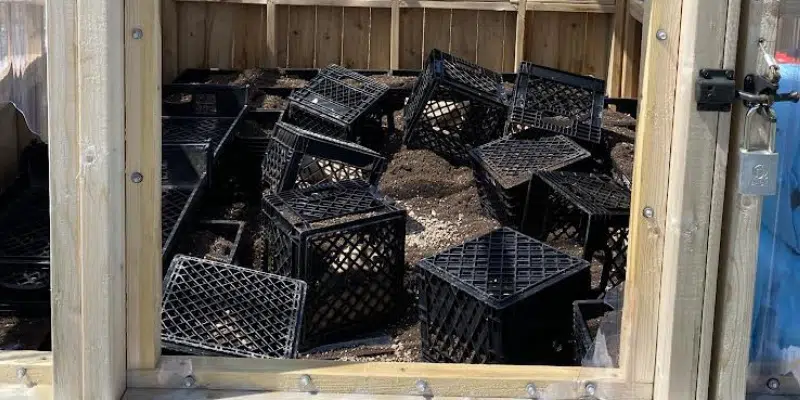 Greenhouse Vandalized at Paradise Elementary