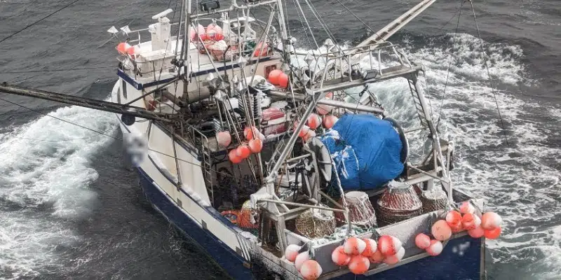 Fish Harvester Rescued After Falling Overboard Near St. Anthony