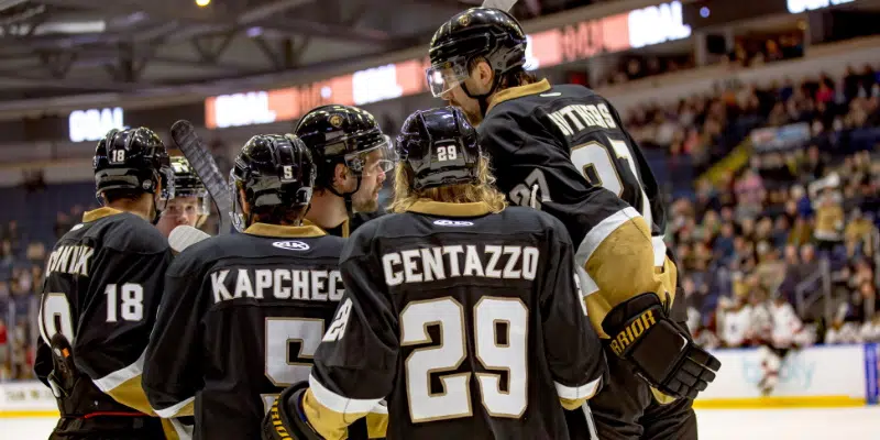 Growlers Advance to Playoff Semi-Finals