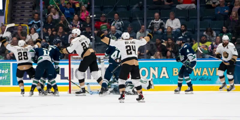 Newfoundland Growlers Win Game Three Against Florida Everblades
