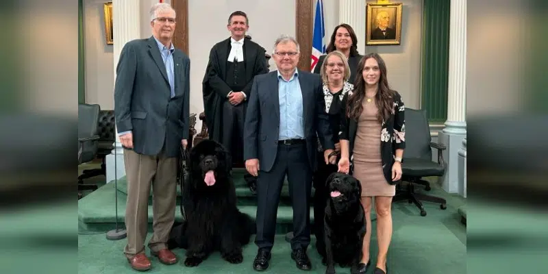 Newfoundland Dog, Labrador Retriever Recognized in House of Assembly