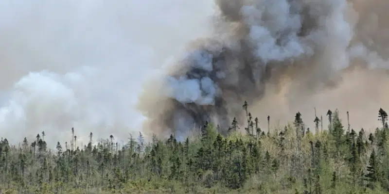 200 Structures Engulfed in Nova Scotia Wildfire Impact Zone