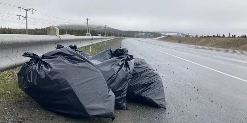 Record Cleanup on Outer Ring Road: Thousands of Bags of Trash Collected