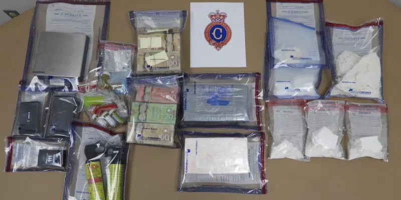 Cocaine, Vehicles Seized in Paradise Drug Bust
