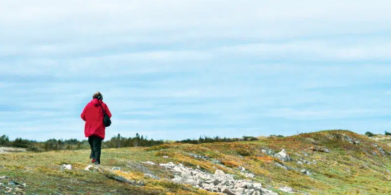 Province to Begin Consultations on 10 Proposed Protected Areas