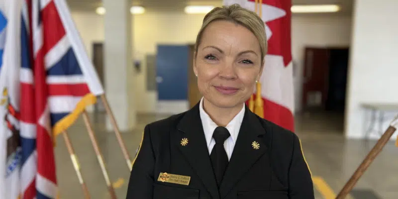 Fire Chief Urges Yard Cleanup Amid High Fire Risk