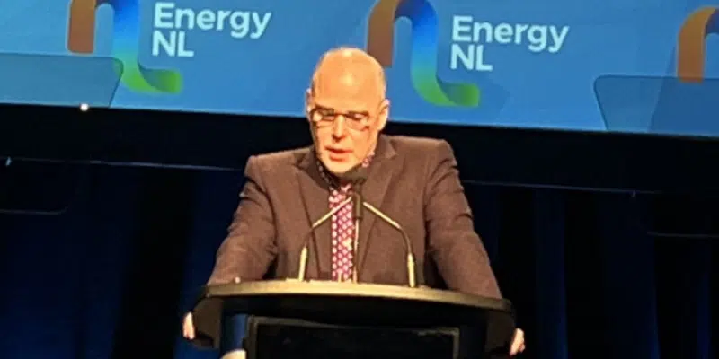 NL Businessman Calling for Improved Air Access to Larger Centres