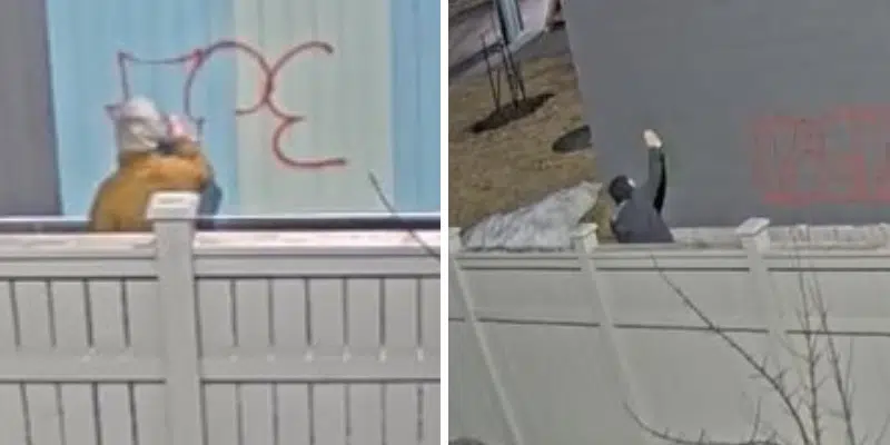 RNC Cracking Down on Graffiti in Northeast Avalon Region