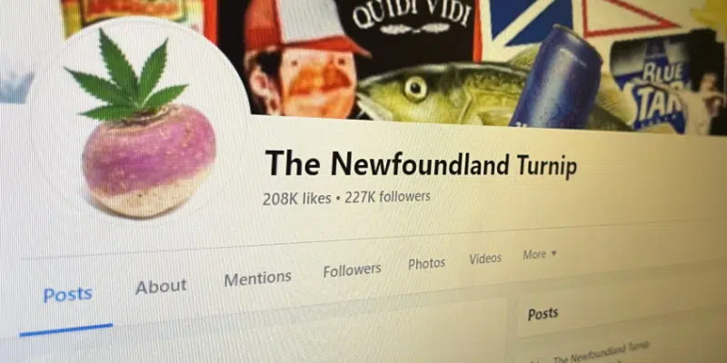 Newfoundland Turnip Creator Believes AI Technology Behind Increase in Facebook Post Violations