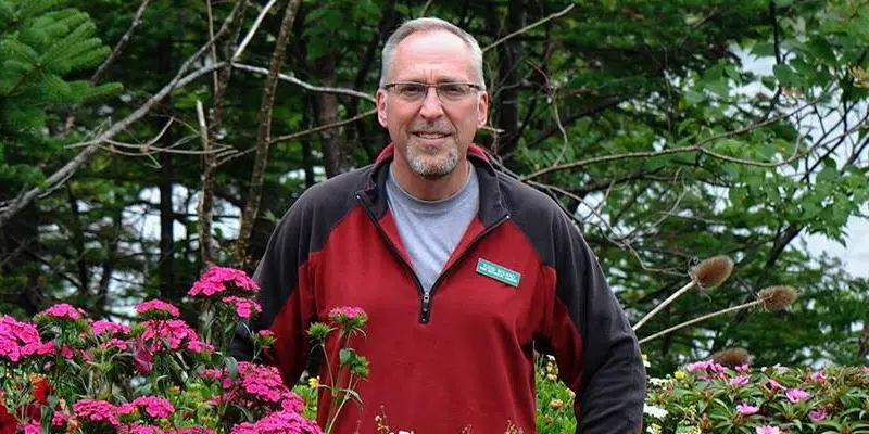 Horticulturist Explains Abundance of Pollen This Summer