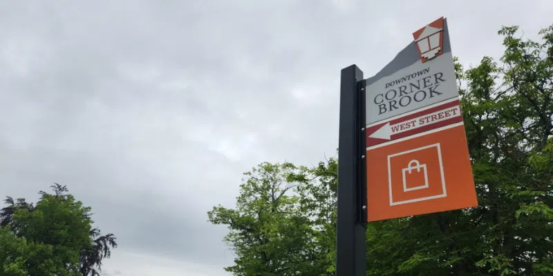 Corner Brook Forced to Remove Downtown Parking Meters Due to Repeated Vandalism