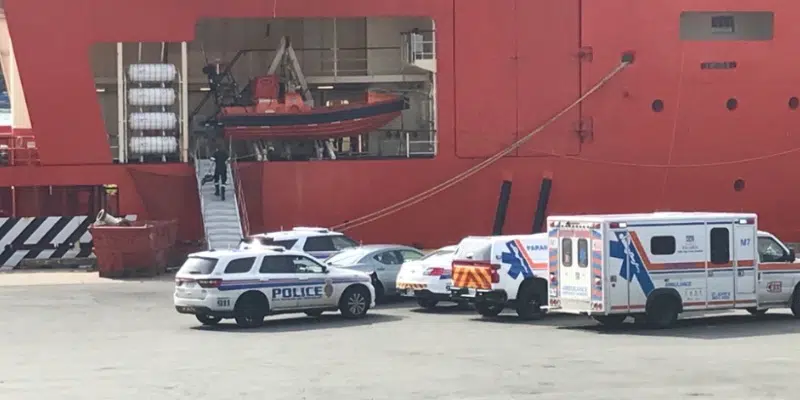 Police Investigating Discovery of Body in St. John's Harbour