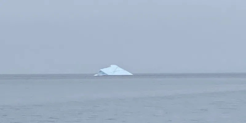 Those Chasing Icebergs Reminded to be Courteous to Locals