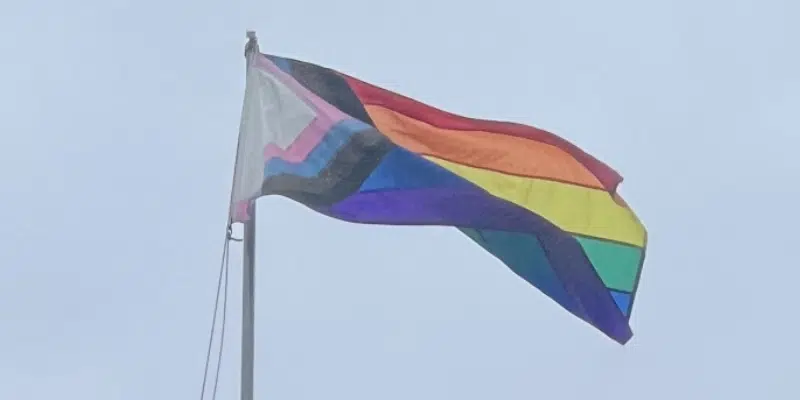 St. John's Pride Considers Fixed Dates for Future Festivals to Aid Planning