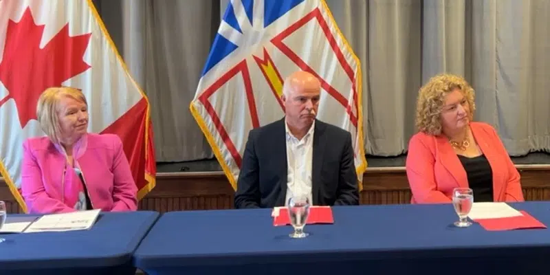 Eight NL Municipalities to Develop Dementia Inclusive Community Action Plans