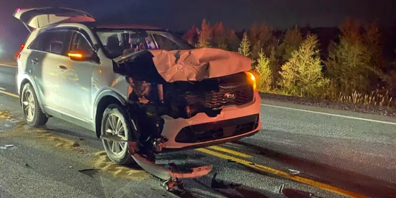 St. John's Woman Warning Drivers After Striking Moose on Highway