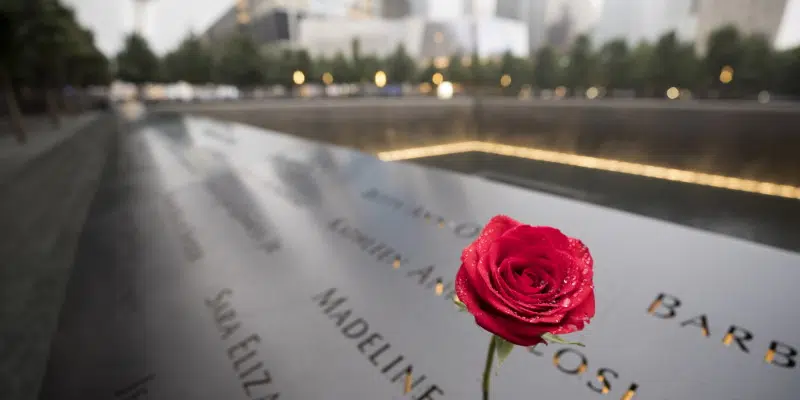 9 11 Memorial Glade 