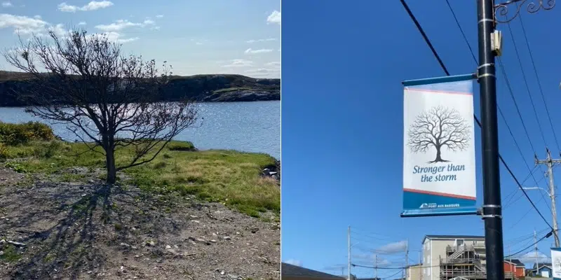 Stronger Than the Storm - Residents of Port aux Basques and Area to Gather to Mark Anniversary of Hurricane Fiona